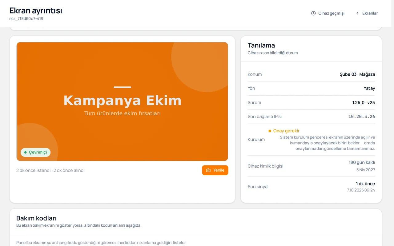 ibibik panelinde bir ekranın ayrıntısı: cihazdan alınan ekran görüntüsü ve tanılama kartı.